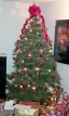1999-12-24-Josh'sTree.jpg